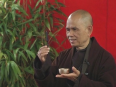 Thư gởi chư Tôn Đức về tình trạng sức khoẻ của Thiền sư Thích Nhất Hạnh